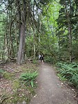 IMG_5269