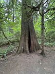 IMG_5271