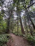 IMG_5272