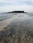 Fort