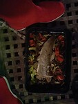Verse vis uit de oven