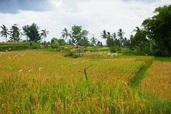 P1040119