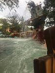IMG_2621