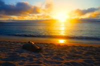 P1060664