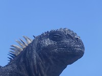 P1070140