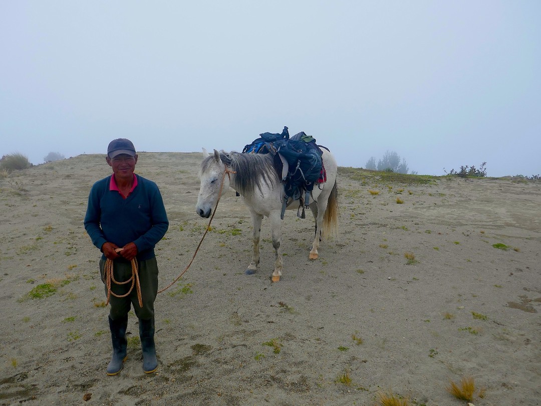 Q loop man met paard