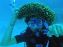 346 Eddy Reef dive Seacucumber