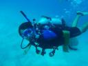 349 Eddy Reef dive