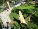 354 Crocfarm feeding