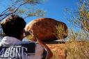 407 The Devils Marbles
