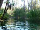 414 Mataranka Hotsprings