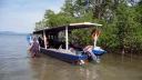 482 Bunaken, Going on a Dive