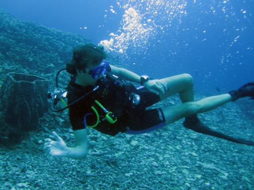 489 Bunaken, Under Water
