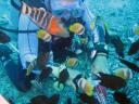 490 Bunaken, Under Water