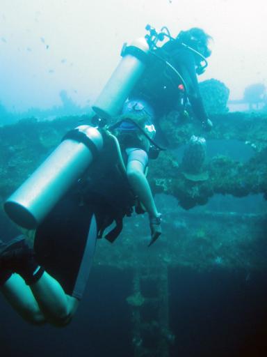 495 Bunaken, Under Water Ship Wreck