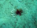 504 Bunaken, Under Water