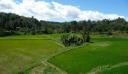 528 Toraja, Rice Fields