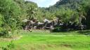 530 Toraja, Londa, Tongkonan houses