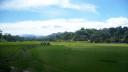 527 Toraja, Rice Fields