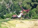 562 Toraja Village