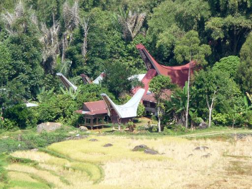 562 Toraja Village