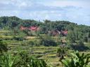 563 Toraja Village