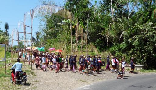 604 Bali, Hindu Procession