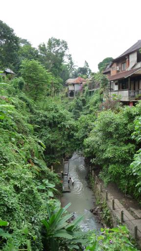 646 Bali, Ubud River View