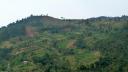 688 Java, Solo, Fields