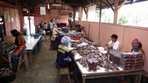 758 Sumatra, Bukkitinggi Coffee Factory