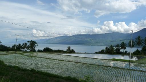 770 Sumatra, Bukkitinggi Rice Paddy and Crater Lake