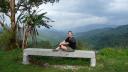 811 Maleisie, Cameron Highlands Tea Fields