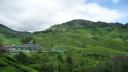 814 Maleisie, Cameron Highlands, Boh Tea Center