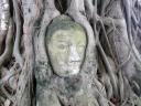 917 Thailand, Ayutthaya, Wat Mahathat
