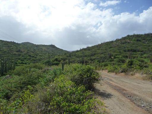 007 Arikok National Park