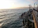 121 Vissen vanaf Santa Monica Pier