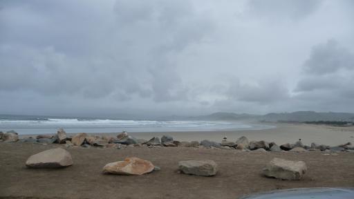 141 Pacific Coast