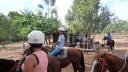 317 Kroombit te paard