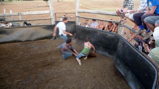 322 Kroombit Geitenrodeo