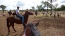 319 Kroombit te paard