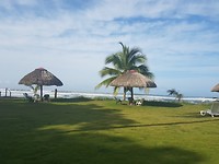 gras en strand
