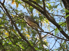 IMG_1672