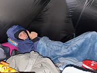 Sziget
