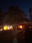 Sziget