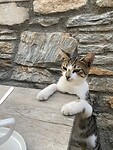 Doganbey