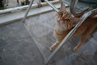 Doganbey