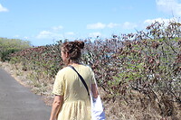 Hawaii