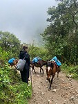 Salkantay