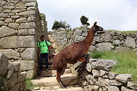 Salkantay