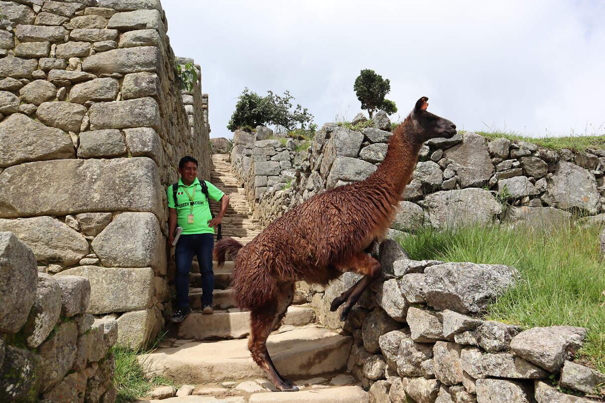 Salkantay